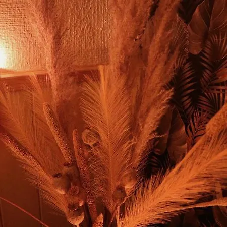 Oasis De Bed & Breakfast Bornos